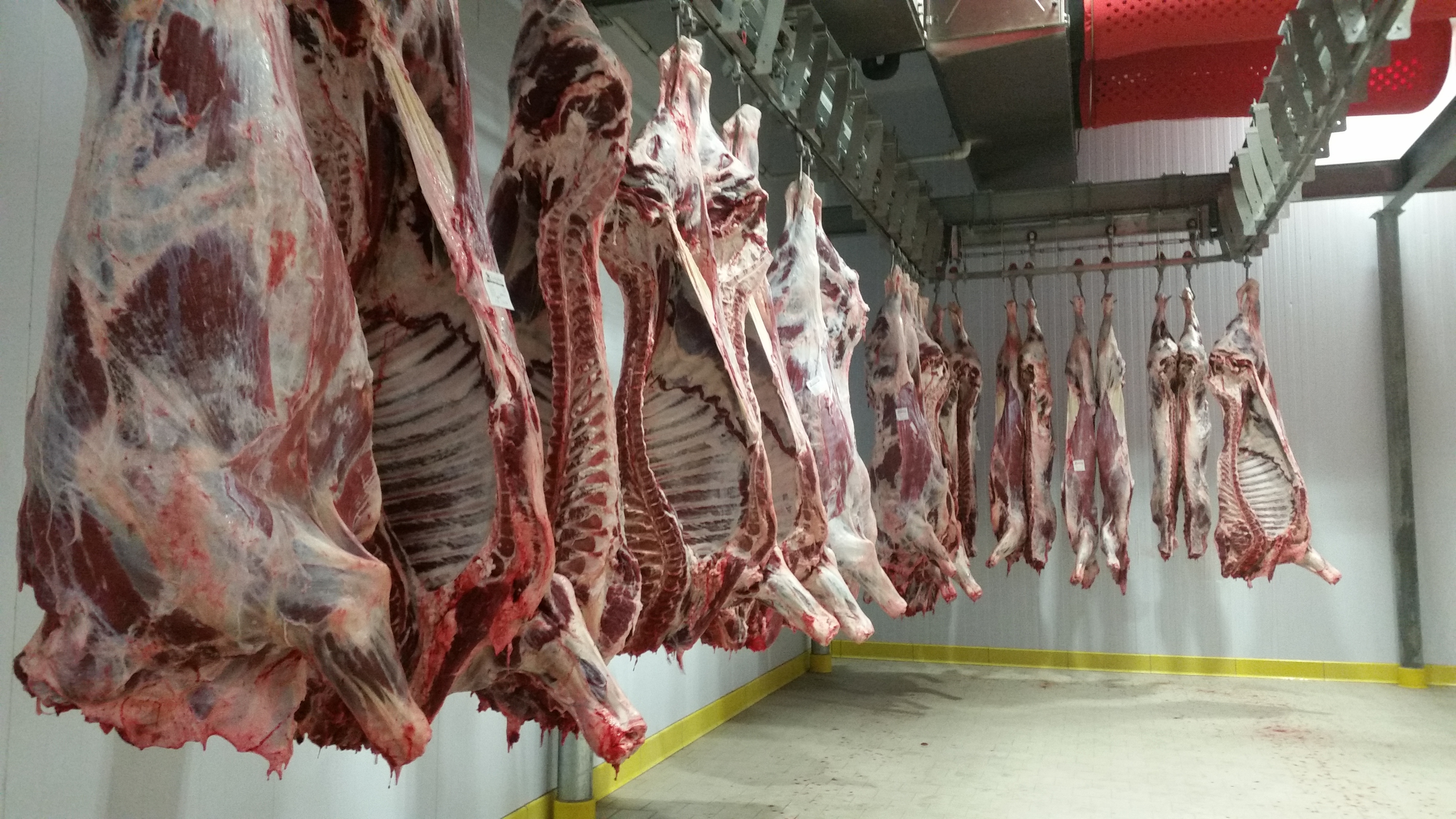 Topek Gıda Hayvancılık İnş. San. ve Tic. A.Ş.