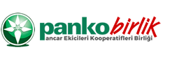 Pankobirlik